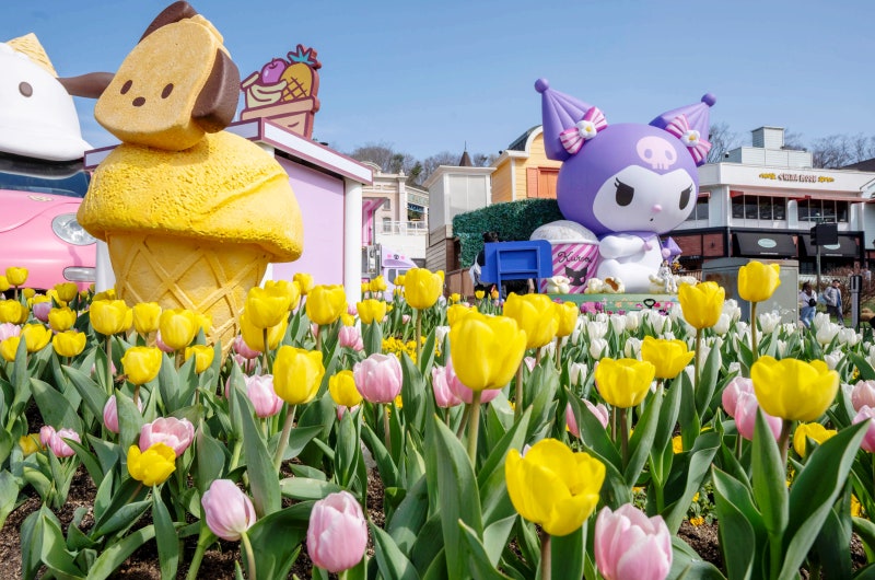 삼성카드 이벤트 에버랜드 종일권, 굿즈 할인 받고 산리오 튤립축제 가자!