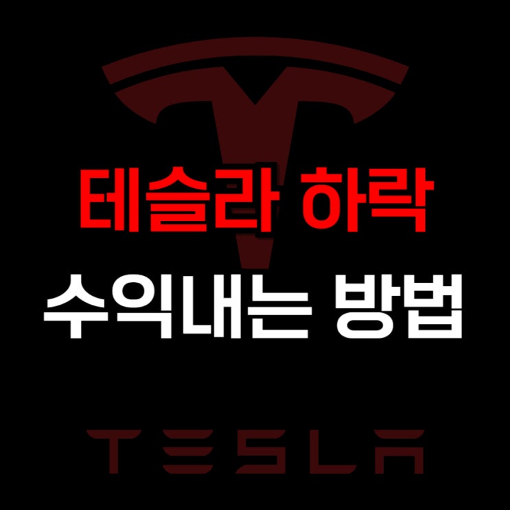  테슬라 주가 하락 수익 내는 방법
