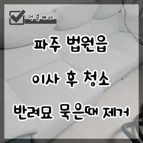 소파 세탁 고양이 털 얼룩 냄새 제거 파주 법원읍