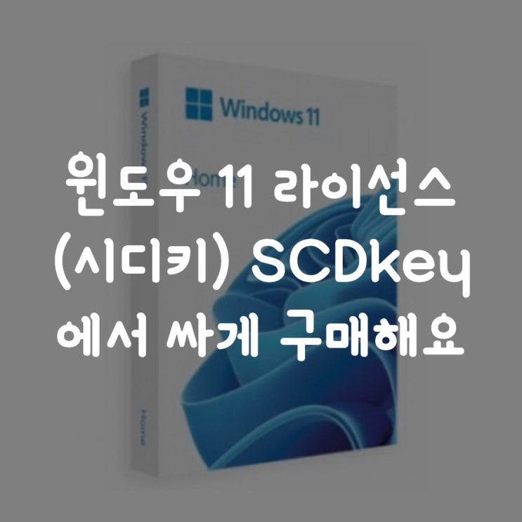  윈도우 11 라이선스(시디키) SCDkey 에서 싸게 구매해요