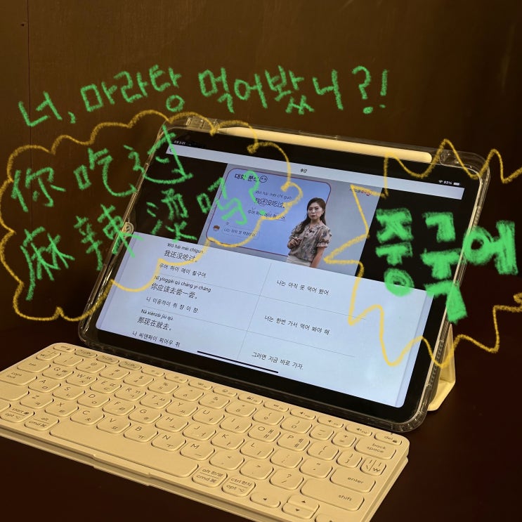  중국어독학 | 중드 덕후의 중국어 인강으로 기초중국어 다지기