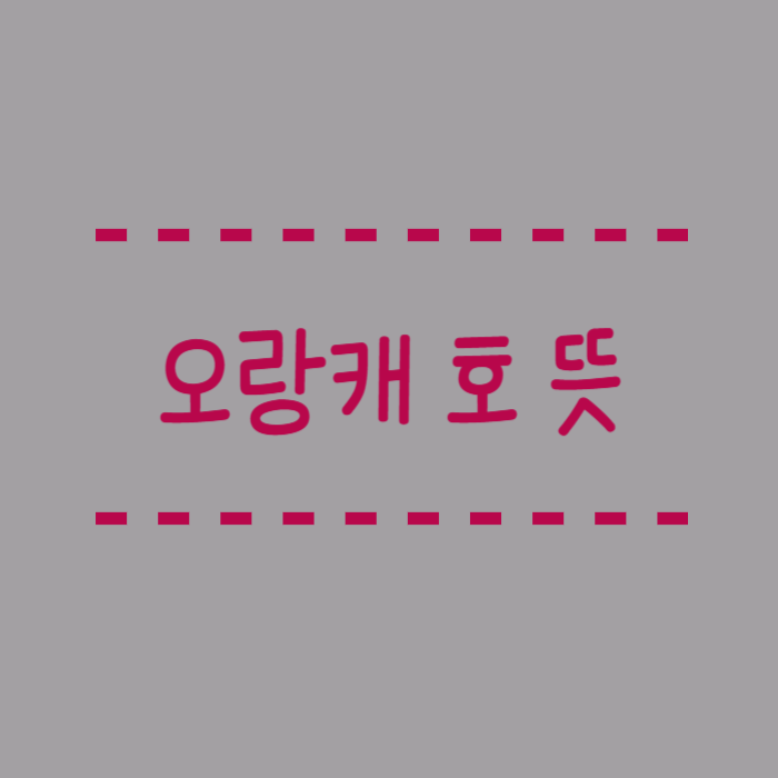  오랑캐 호 뜻, 예시, 호가 포함된 대표적인 단어