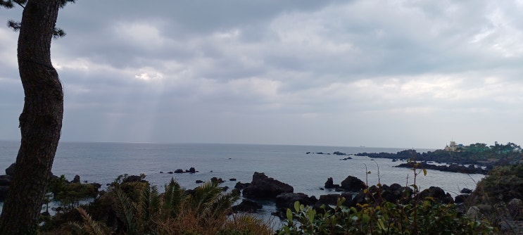  제주도여행을 굳이 패키지로 다녀온 찐후기