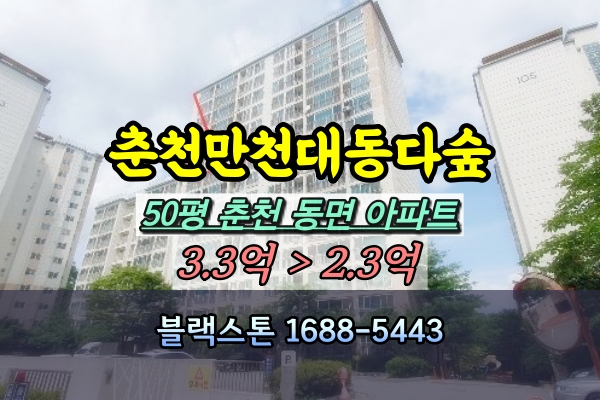  춘천 동면 대동다숲 경매 50평 [2024타경53252]