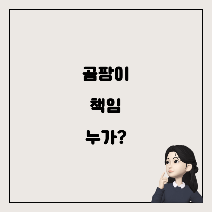  벽에 핀 곰팡이, 누구의 책임일까요?