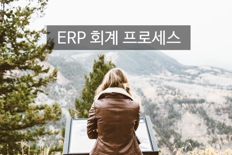 ERP 회계 업무를 위한 프로세스 가이드 및 전산실 관리자의 체크포인트 ERP 회계 업무를 위한 프로세스 가이드 및 전산실 관리자의 체크포인트