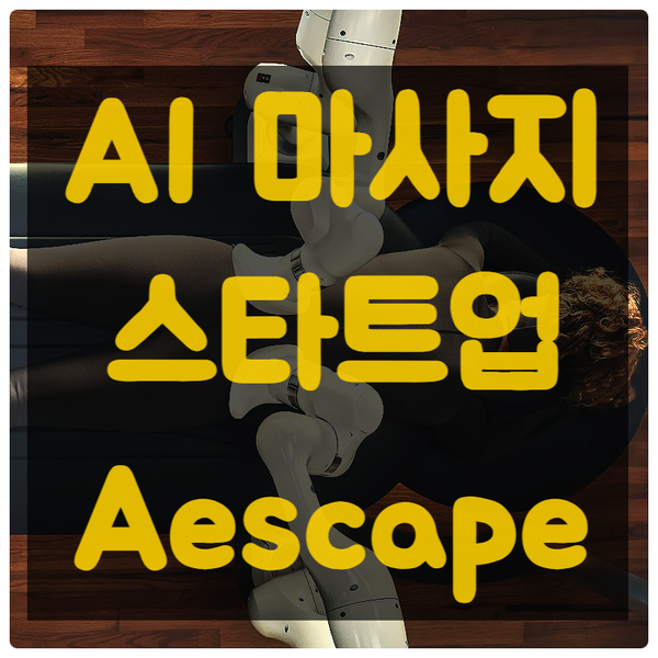  AI 마사지 스타트업 Aescape 소개, 성공 가능성은?