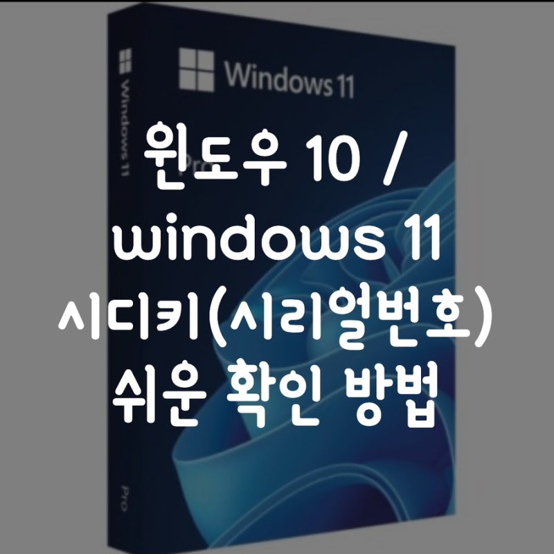 Windows 10 , 윈도우11 시디키(시리얼번호) 확인 방법