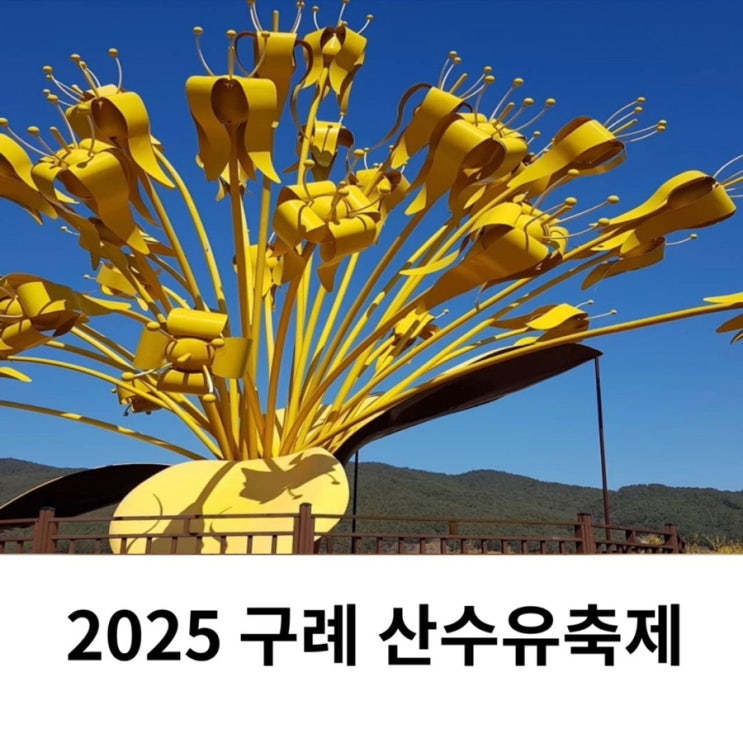  2025 구례 산수유축제 초대가수 개화시기 기간 기본정보 산수유마을