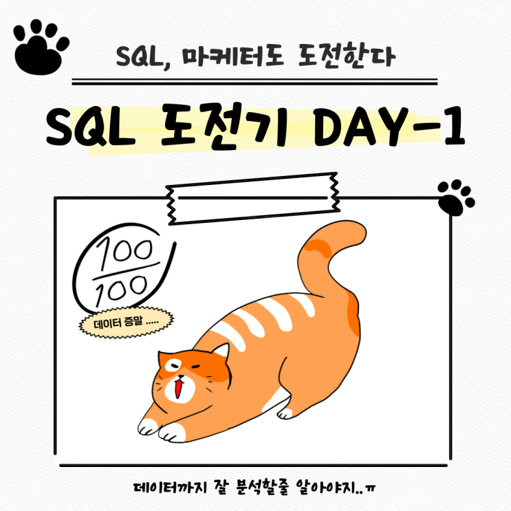  마케터의 SQL 도전기_첫 삽_DAY 1