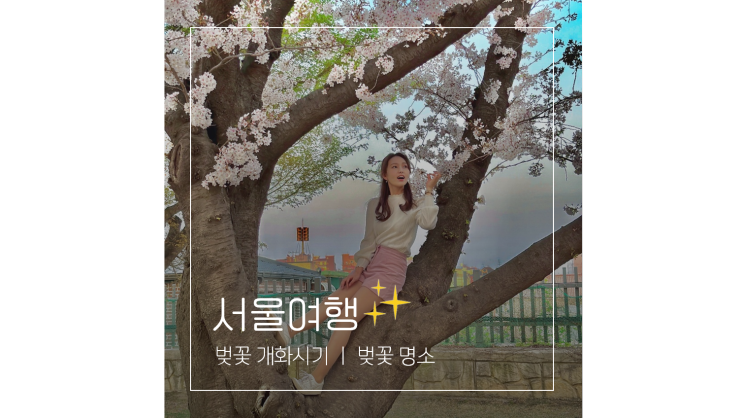  2025 벚꽃 개화시기 및 서울 벚꽃 명소 BEST 5