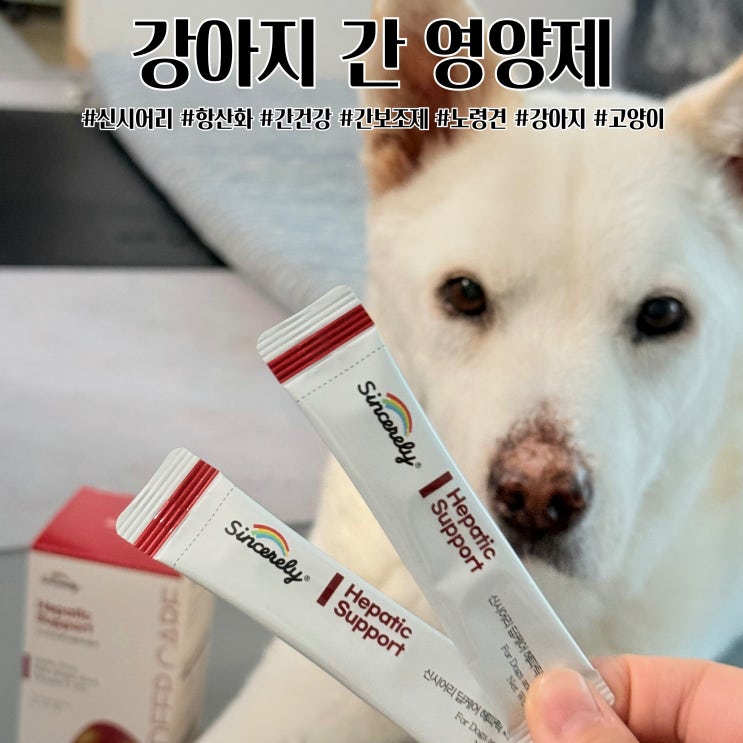  노령견 강아지 고양이 간영양제 신시어리 추천인코드 ZUJLDK