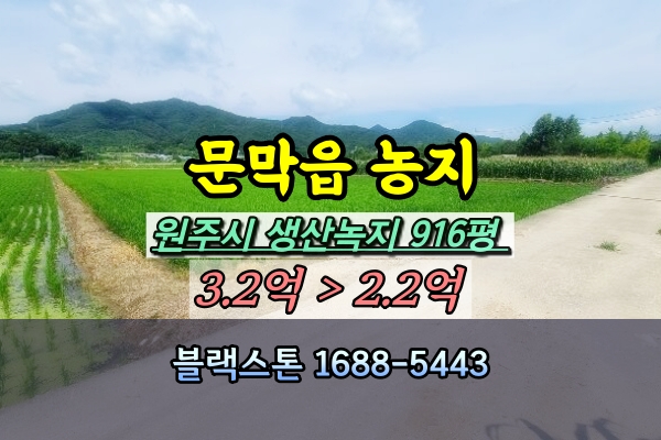  원주시 문막읍 농지 경매 반계리 답 1천평 [2024타경1561]