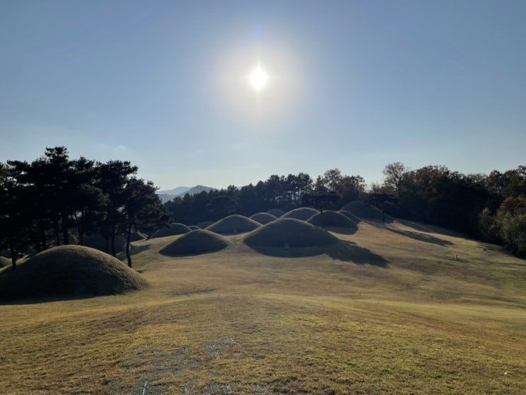  합천박물관 합천옥전고분군 합천 고분 옥전서원 합천박물관