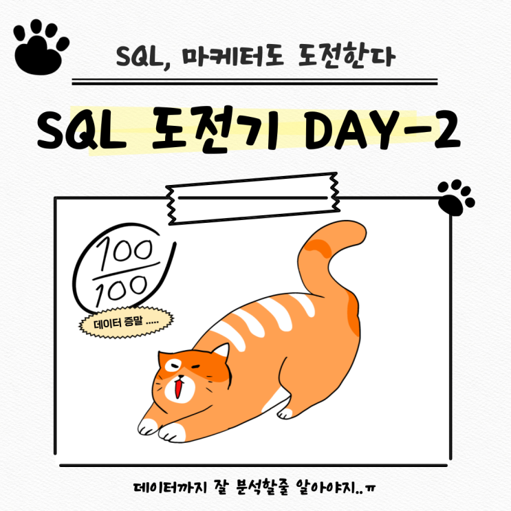  마케터의 SQL 도전기 _ DAY 2