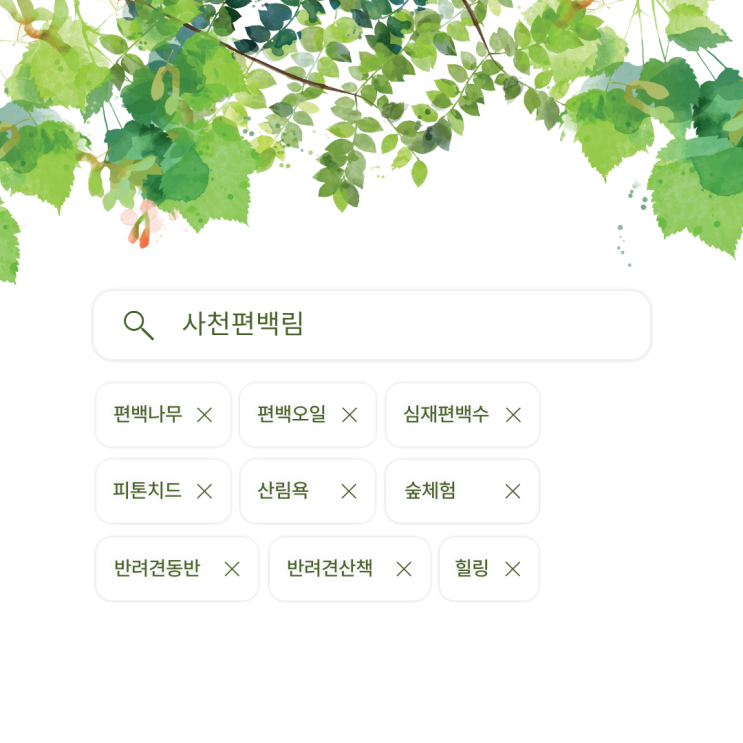  [사천편백림] 피톤치드 가득한 숲체험