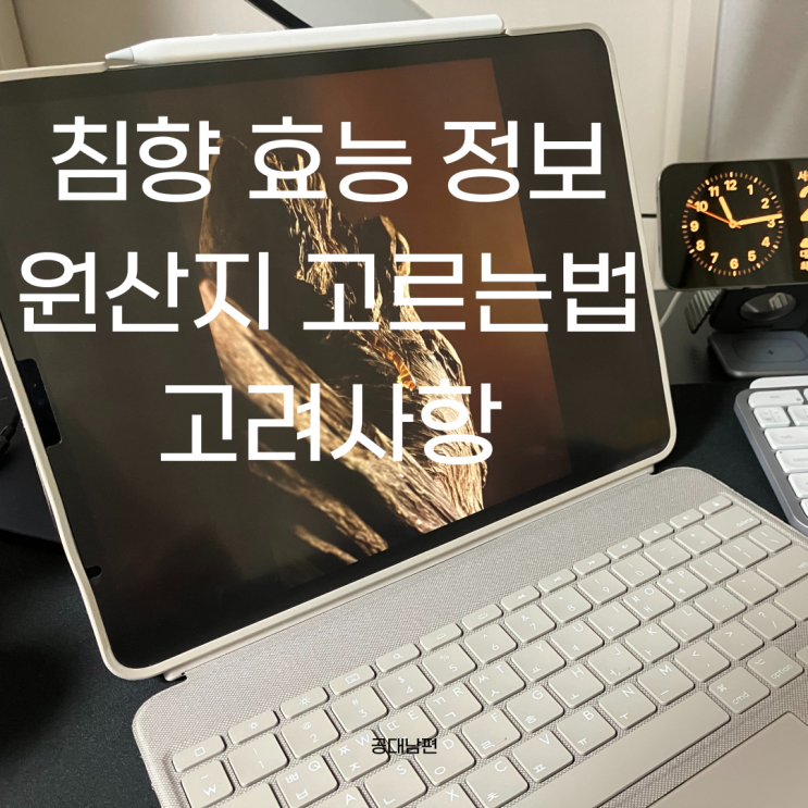  침향 효과 효능! 정보 원산지 고르는 법 및 침향환 가격 고려 사항
