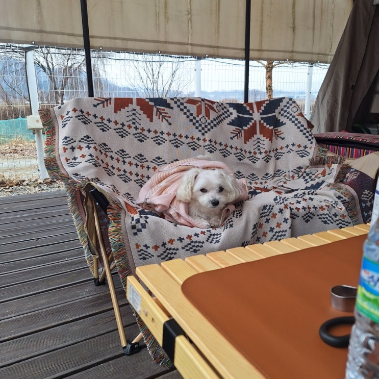  강아지동반 캠핑장 반려동물도 편했어요