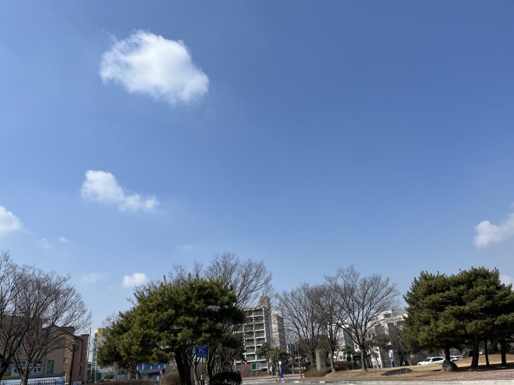  21세기를 살아도 날씨에 흔들리다니.