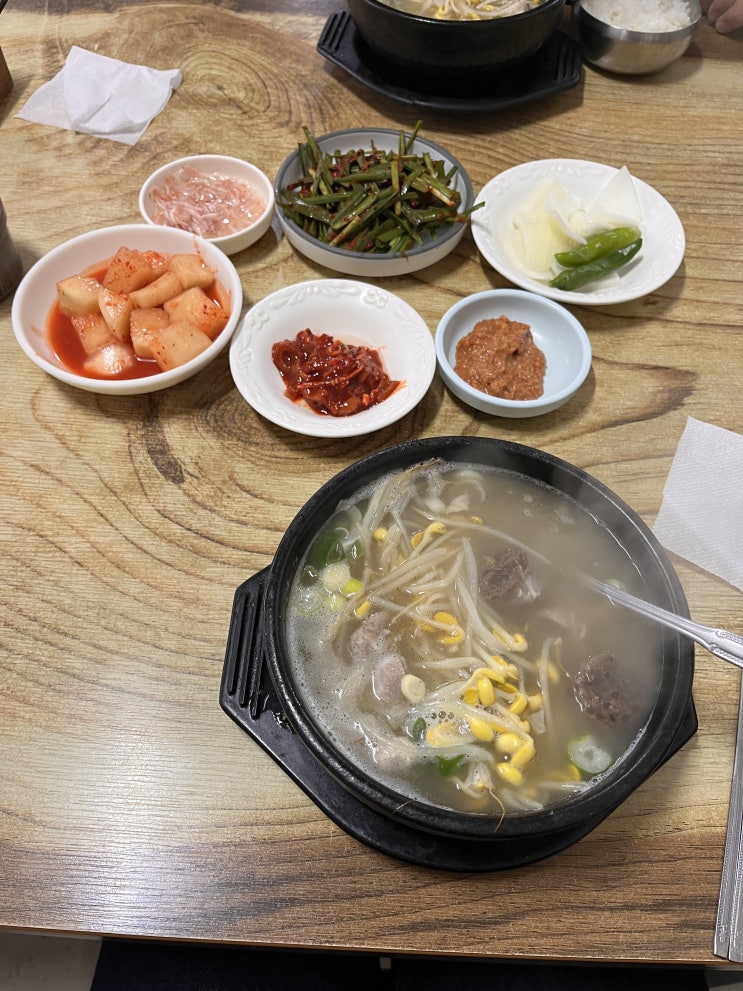  7,000원의 행복 제주 성산 현지인 맛집 고성장터국밥