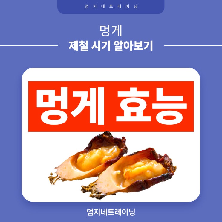  멍게 효능과 제철 시기 알아보기