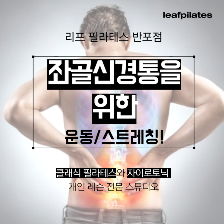  [신반포역 필라테스] 좌골신경통을 위한 운동&스트레칭 / 반포필라테스 리프