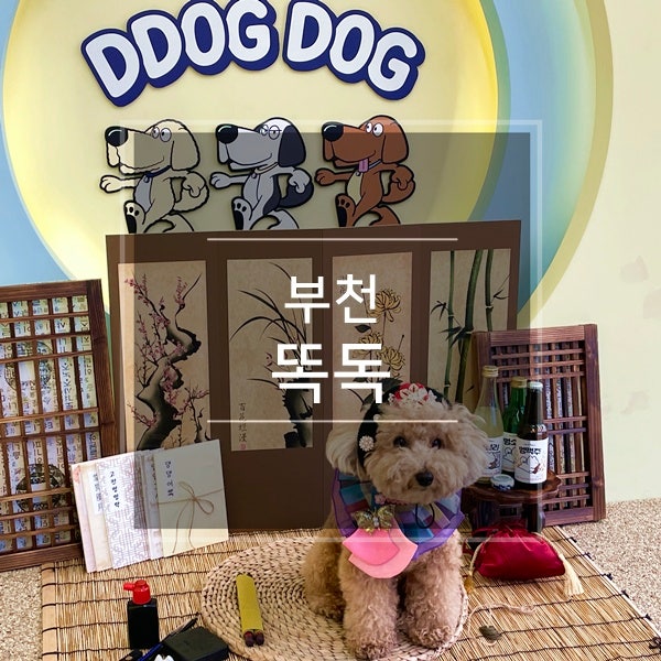 사진 7