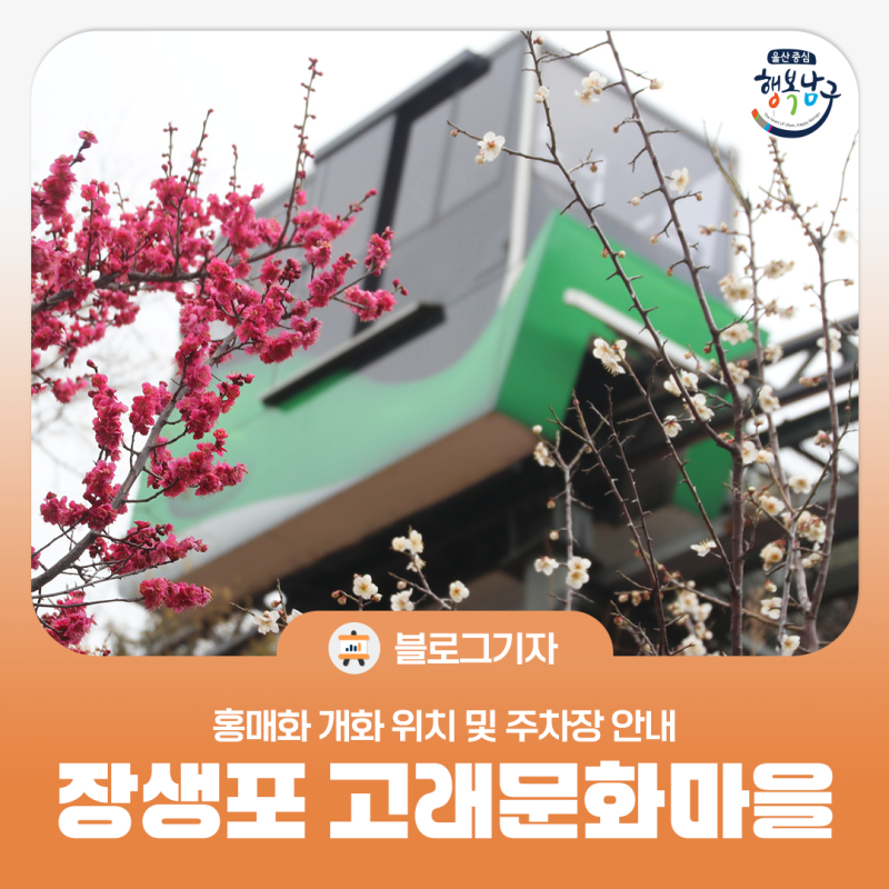 사진 4