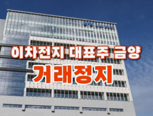  금양 유상증자 철회 25%급락
