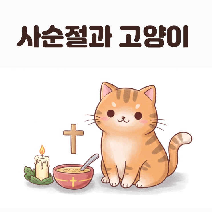  고양이도 단식이 필요할까 사순절 금식과 냥이의 식사 패턴