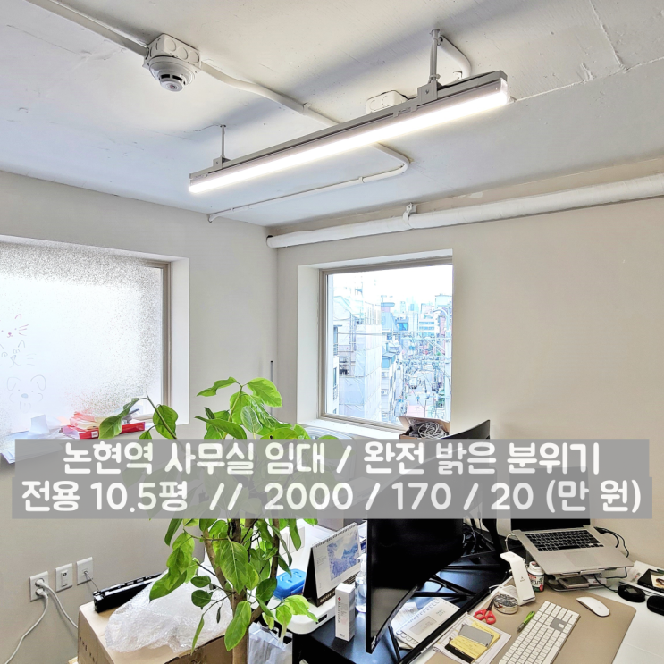  논현역 사무실 임대 광채를 뿜어내는 극강의 아늑함