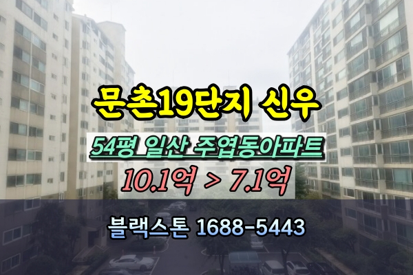  문촌마을19단지 경매 54평 주엽동아파트 [2024타경5598]