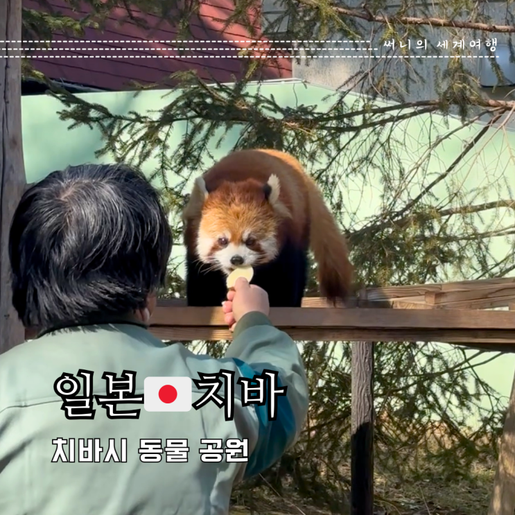 도쿄근교여행 치바여행 치바 동물원 지바시 동물공원 도쿄근교여행 치바여행 치바 동물원 지바시 동물공원