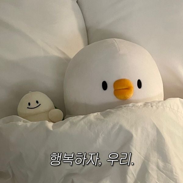  2025년 2월
