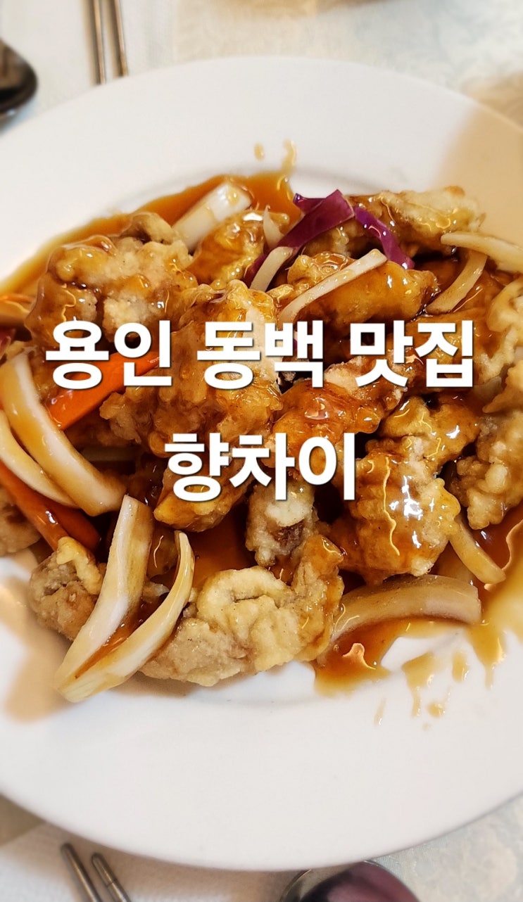  용인 동백맛집 수타중국요리 향차이