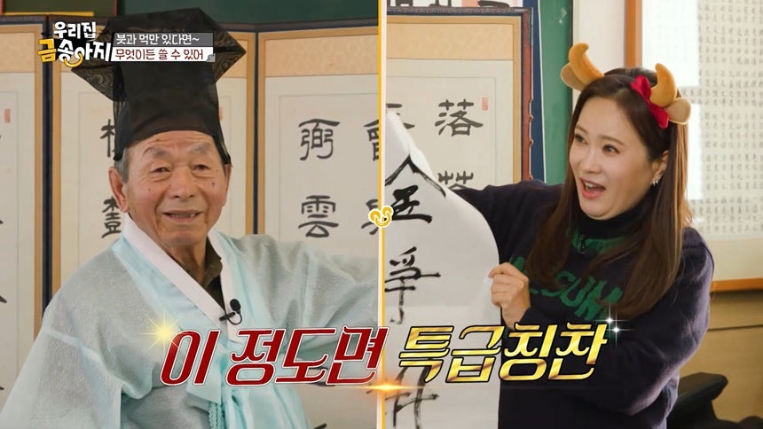금송아지 사진 6