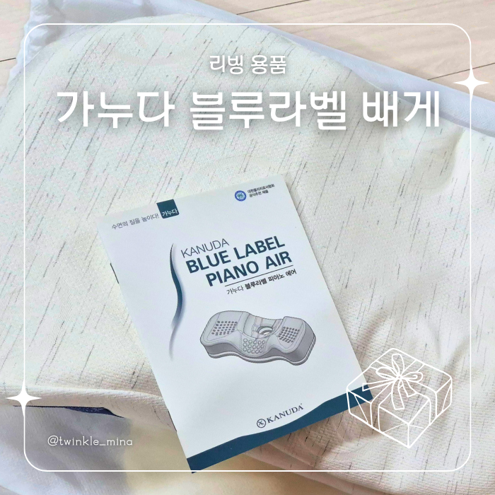 가누다 블루라벨 피아노 에어 기능성 거북목 교정 베개 일자목배게