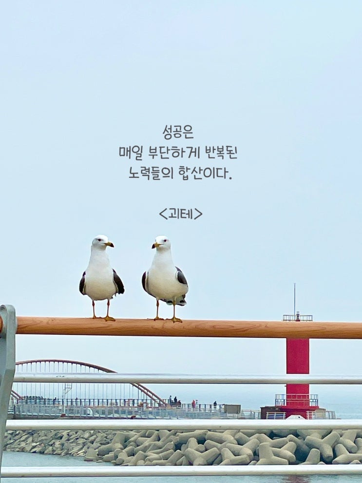  습관으로 경험을 쌓아가면 탁월한 사람이 된다