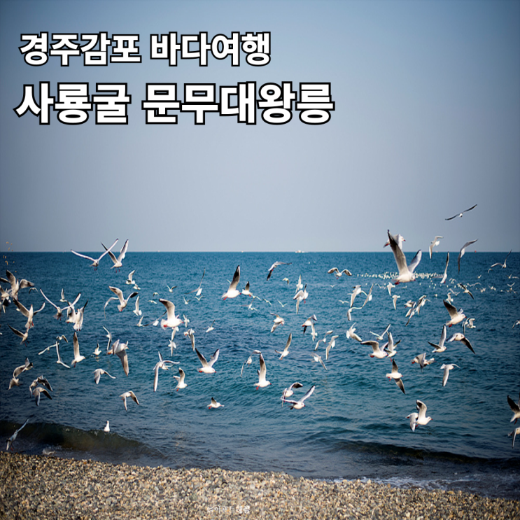  경주감포가볼만한곳 바다여행 전촌용굴 사룡굴 문무대왕릉