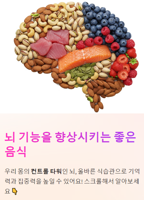  뇌 기능 , 뇌 건강 향상시키는 좋은 음식!