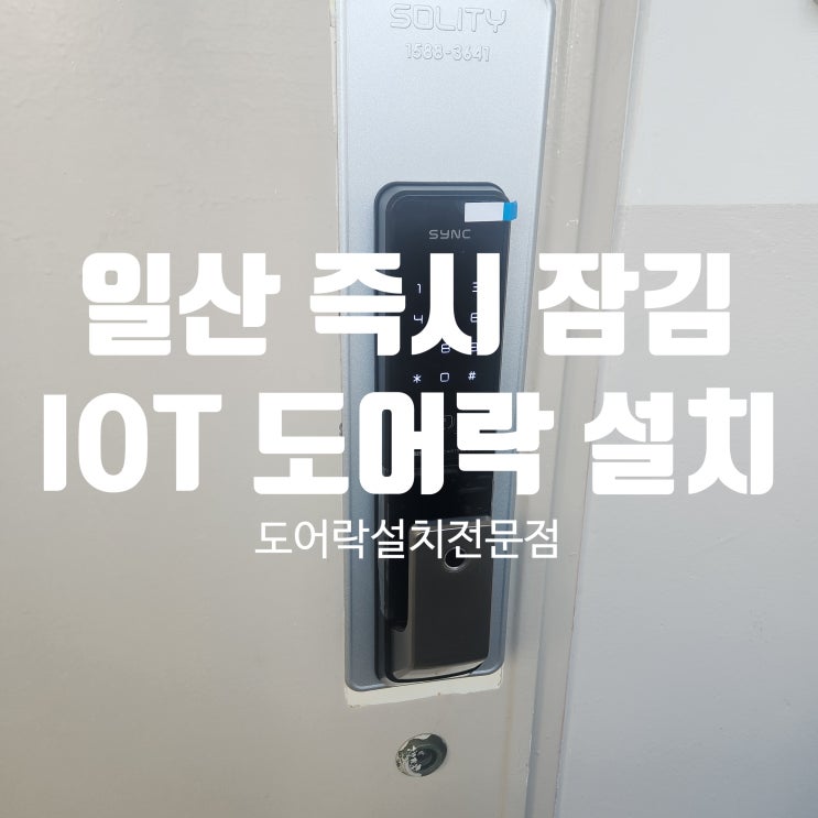  일산 열쇠 현관 도어락 고장 즉시 잠김 지문 IOT 도어락 설치 일산동 일산동문1차
