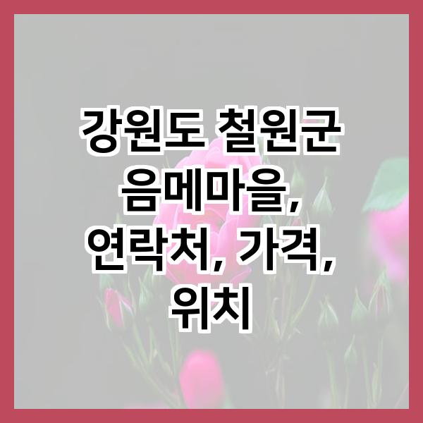 음메마을 사진 1
