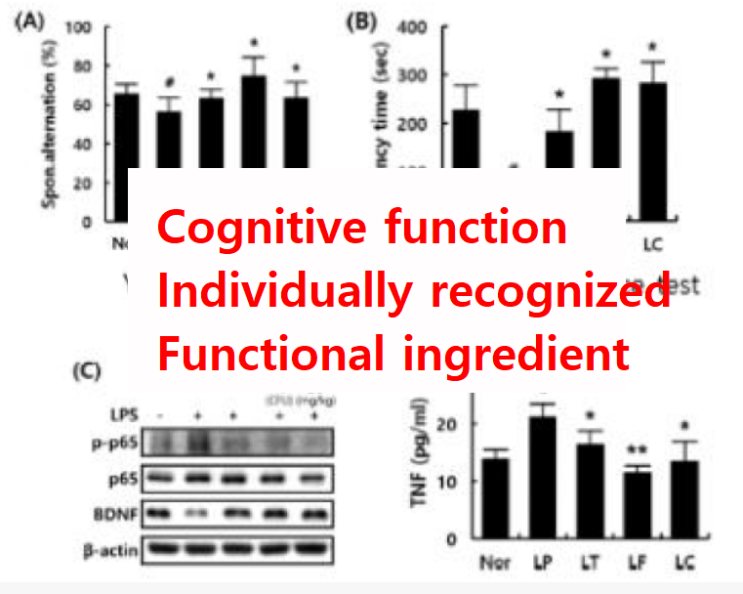  Complex of  Lactiplantibacillus  plantarum C29 Probiotics and fermented soybean powder(DW2009)