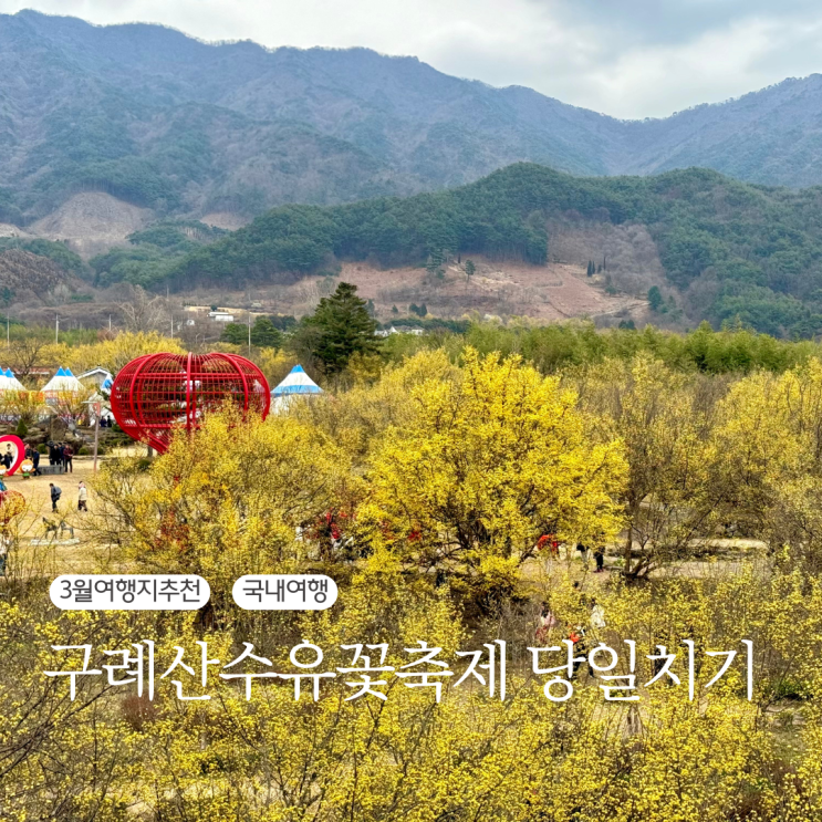  3월여행지추천 구례산수유꽃축제 당일치기 여행 후기
