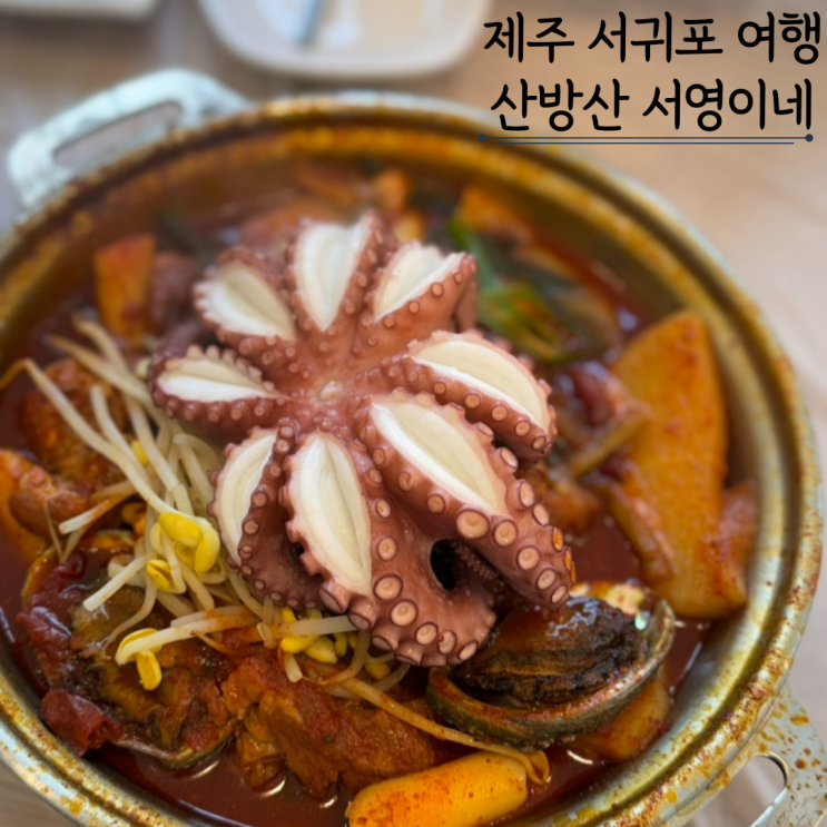 제주 서귀포 맛집 서영이네 산방산 매운갈비찜 문어삼합 제주 서귀포 맛집 서영이네 산방산 매운갈비찜 문어삼합