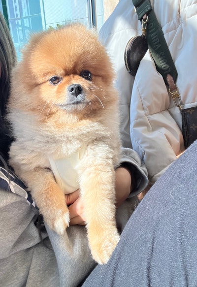 사진 3