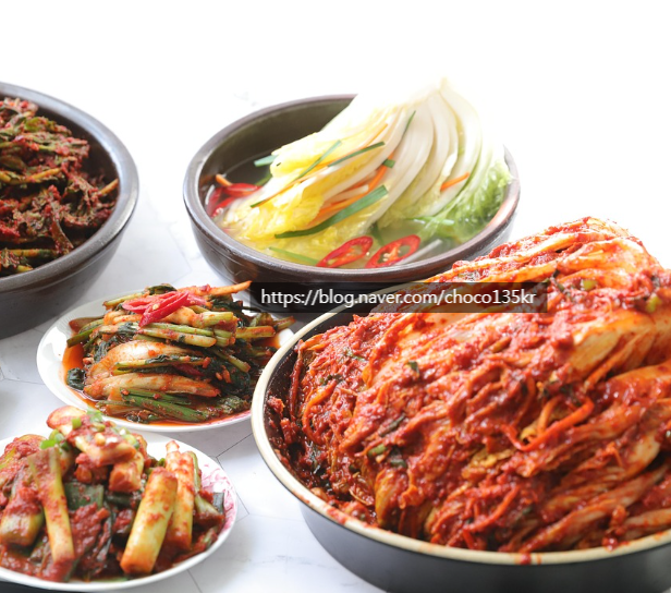 김치 하얀곰팡이 생기는 원인 골마지 이유 김치냉장고 냉장 냉동 온도 보관 방법