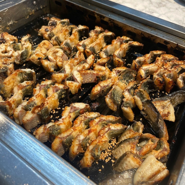 광주 광산구 하남 장어구이 맛집 갯마을 민물장어 광주 광산구 하남 장어구이 맛집 갯마을 민물장어