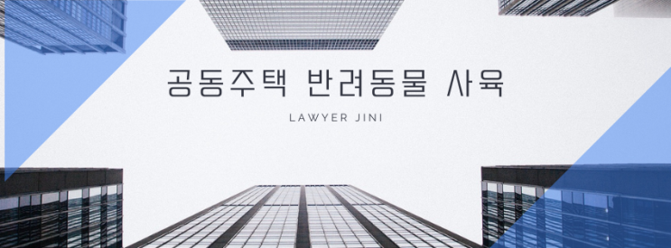  서울 아파트 이사 전 꼭 확인하세요! 고양이를 키울 수 있을까요?