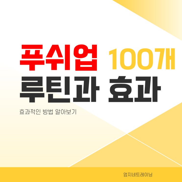  정발산pt 푸쉬업 100개 루틴과 효과적인 방법
